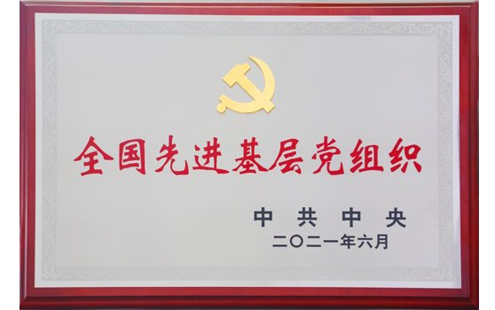 2021年6月大运集团党委荣获“全国先进基层党组织”荣誉称号